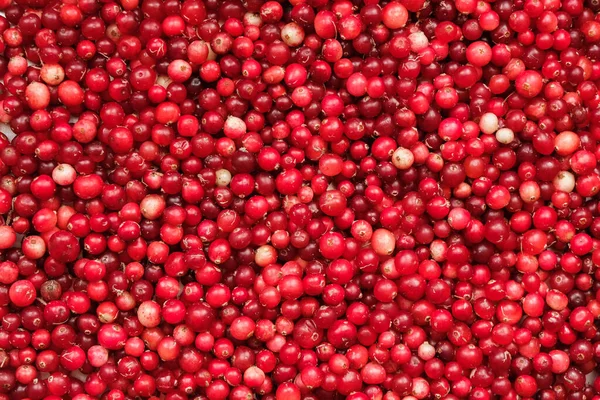 Preiselbeere Oxycoccus Cranberry Hintergrund Ernte — Stockfoto