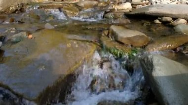 Gecenin altın saatinde şeffaf dağ deresi. Kvasy, Zakarpattia bölgesi, Ukrayna.