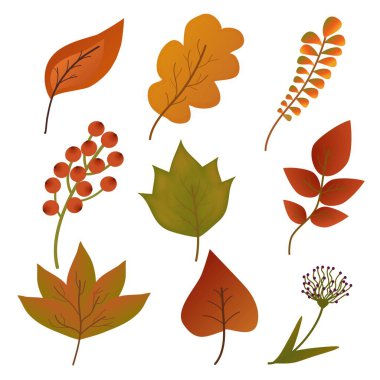 Sonbahar sarısı dökülen yapraklar