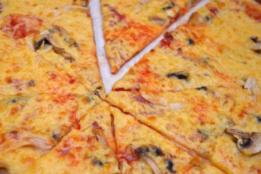 Peynir, mantar, koyu ahşap masa üzerinde beyaz bir plaka üzerinde tavuk ile pizza, tek parça kesilmiş