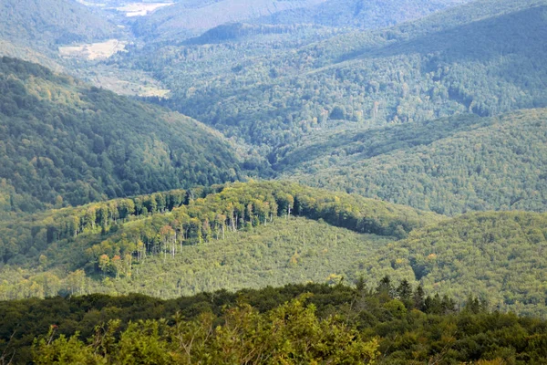 Verdi colline boschive di montagna e foresta abbattuta — Foto Stock