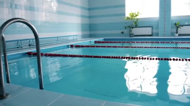 Modern indoor swimming pool with blue water and walls, plants, general view — Stock Video
