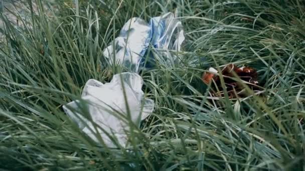 ペットボトル 草の中に横たわるゴミ 地球の汚染の概念 鈍い暗い色 — ストック動画
