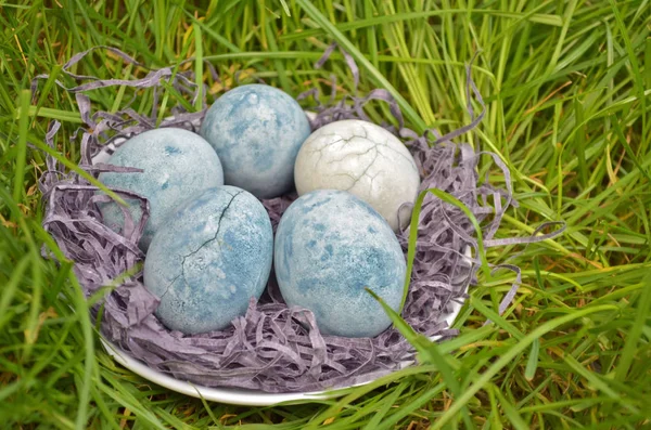 Five blue eggs, painted in hibiscus, lie in hay in a saucer on the grass, like dragon eggs and marble, side view macro — Stock Photo, Image