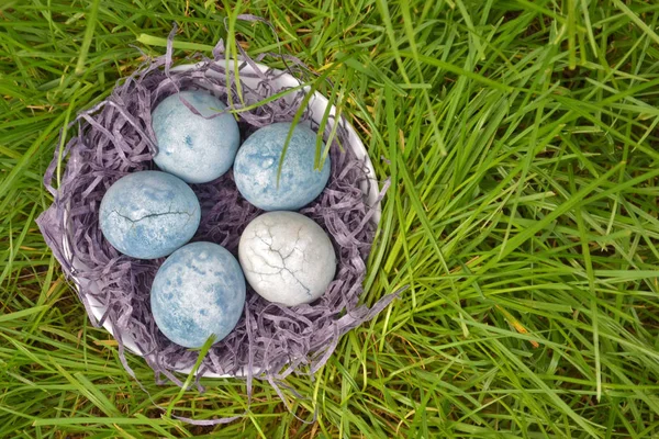 Пять голубых яиц, окрашенных в гибискус, лежат в сене в тарелке на зеленой траве, как драконьи яйца и мрамор, вид сверху — стоковое фото