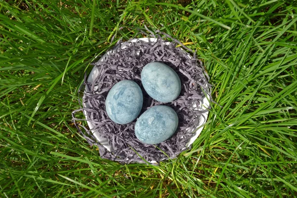 Три голубые яйца, раскрашенные в чайный гибискус, лежат в сене в блюдце на траве, как драконьи яйца и мрамор, вид сверху — стоковое фото