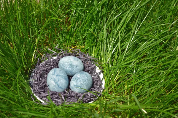 Три голубые яйца, раскрашенные в чай гибискус, лежат в сене в блюдце на зеленой траве, как драконьи яйца и мрамор, вид сбоку — стоковое фото