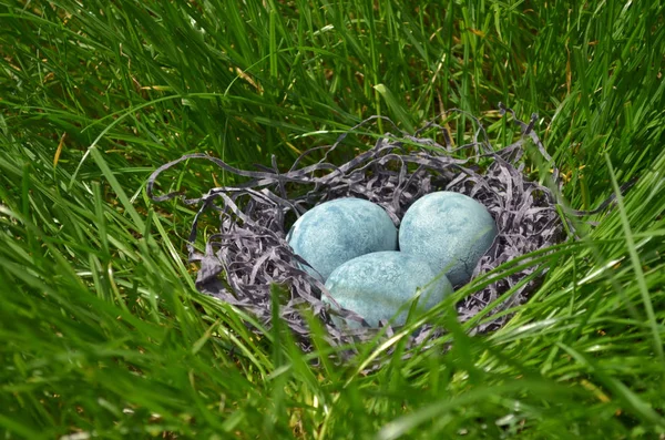 Три голубые яйца, раскрашенные в чай гибискус, лежат в сене на траве, как драконьи яйца и мрамор, вид сбоку — стоковое фото
