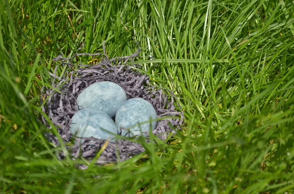 Tre blå ägg, målade i te hibiskus, ligger i hö på gräset, som Dragon ägg och marmor, sidovy med copyspace — Stockfoto