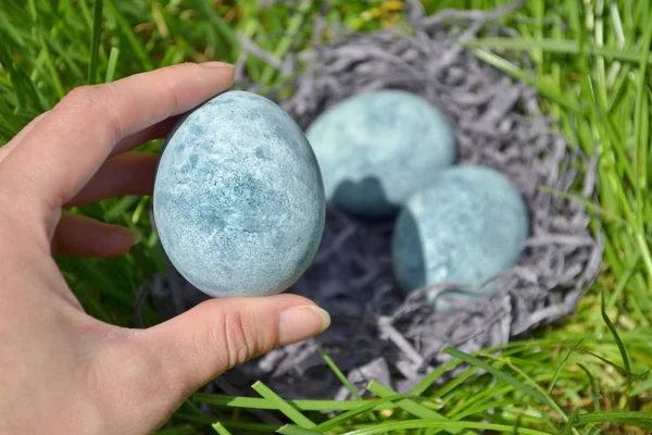 Egg, painted in tea hibiscus, lies in female palm on background of grass and other eggs, like dragon eggs and marble — Stock Photo, Image