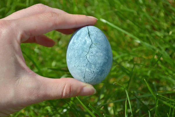 Голубое яйцо, окрашенное в чайный гибискус, держащее женскую открытую ладонь на фоне травы, подобно драконьим яйцам и мрамору — стоковое фото