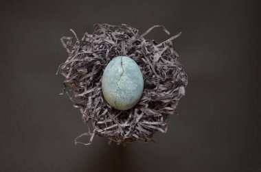 Çatlak ile Gri yumurta, çay ebegümeci boyalı, kağıt üzerinde gri arka plan üzerinde saman bir yuva benzer yatıyor, copyspace ile