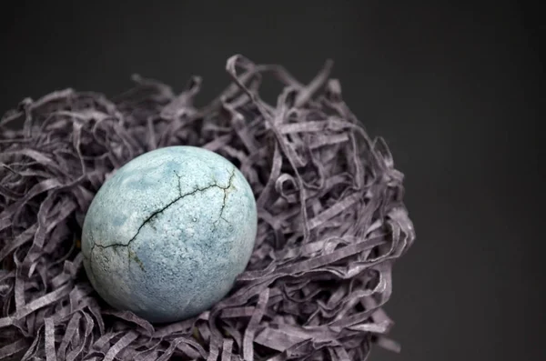 お茶のハイビスカスで描かれた亀裂を持つ灰色の卵は、灰色の背景のクローズアップに干し草の巣に似た紙の上に横たわっています — ストック写真