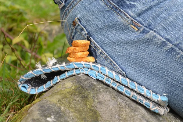Bolachas deitadas ao lado do homem de jeans, um lanche durante a campanha — Fotografia de Stock