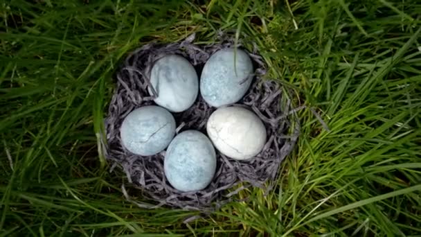 五个蓝色的鸡蛋 涂在茶木上 躺在草地上的干草里 像龙蛋和大理石 顶视图 — 图库视频影像