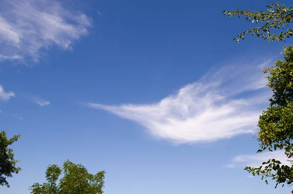 Blue sky and white cloud in the shape of sharp beak of a bird or swordfish