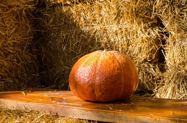 Una zucca arancione giace su una panchina di legno circondata da pagliai al sole con copyspace — Foto Stock