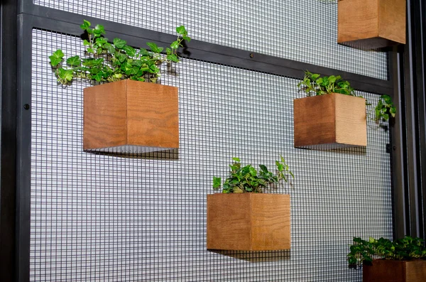 Kafenin içini metal bir ızgarada bitkilerle ahşap kaplar şeklinde dekore et.