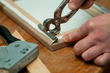 İlk menekşe bahar çiçekleri.