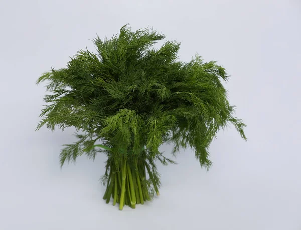 Ein Bund Grüner Dill Für Einen Salat Ist Auf Weißem — Stockfoto