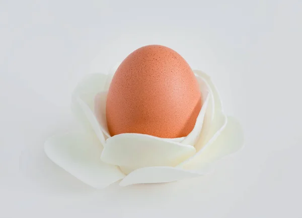 Hönsägg Ros — Stockfoto