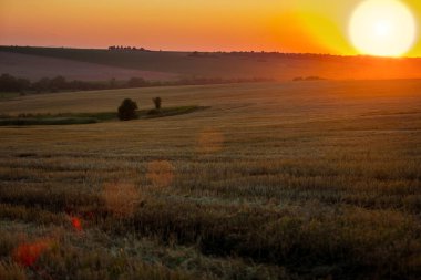 Tarlada hasat. Güneşli gökyüzünün arka planında duman.