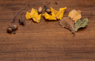 Oluklu yaprakları ve meşe palamudu ile kahverengi arka plan. Metin için yer, doğal bir ahşap tahta üzerinde meşe palamudu.