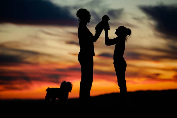 Красивый Закат Силуэтом Силуэт Людей Собак — стоковое фото