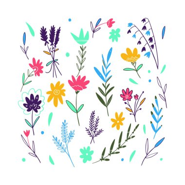 Bahar çiçekleri seti. El çizilmiş vektör çizim. Beyaz arka planda yalıtılmış.