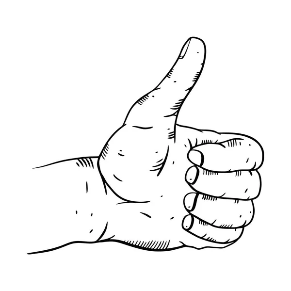 Палець Ok рука намальована Векторні ілюстрації. Стиль гравіювання . — стоковий вектор