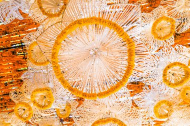 Direksiyon ve olay süslemek için mobil çiçek için kadife çiçeği aranjman / festival fotoğraf çekim veya zemin ve arka plan çiçek pazarı, Tayland.