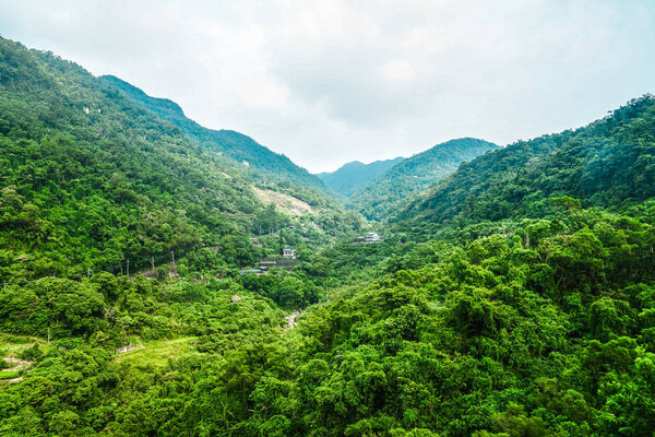 Forest at the Taipei Mountain, view from the Maokong Gondola at noon, Taiwan.