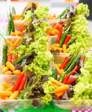 Sebze madde; kırmızı/yeşil biber ve meşe, havuç.