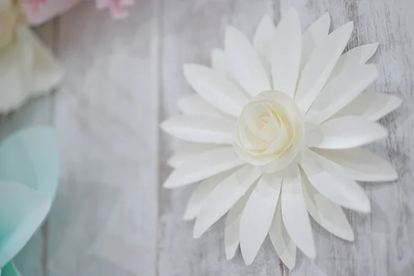 Pastel Paper Flower Cream White Pink Green Blue Hand Craft — Stock Photo, Image