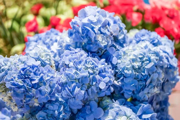 Başkaları ile mavi çiçek buketi.