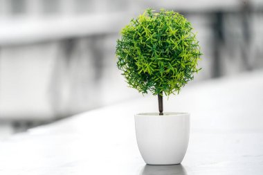 Kahve Kupası ile küçük ağaç arka plan bulanıklık.