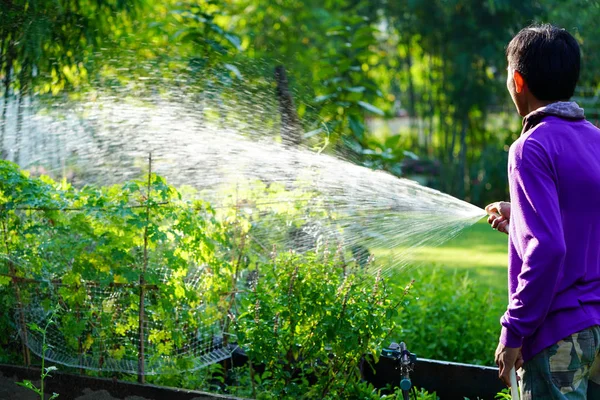 Schulsozialarbeiterin Kümmert Sich Die Pflanze Garten — Stockfoto