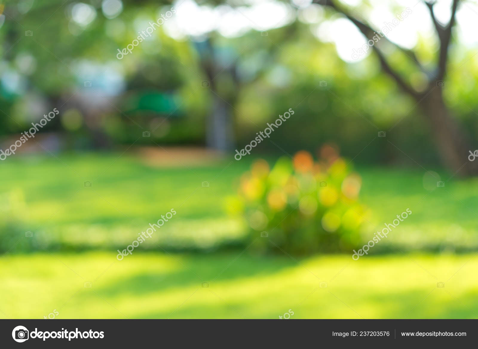 Fresh Nature Green Blurry Bokeh Background Stock Photo by ©surachetsh  237203576