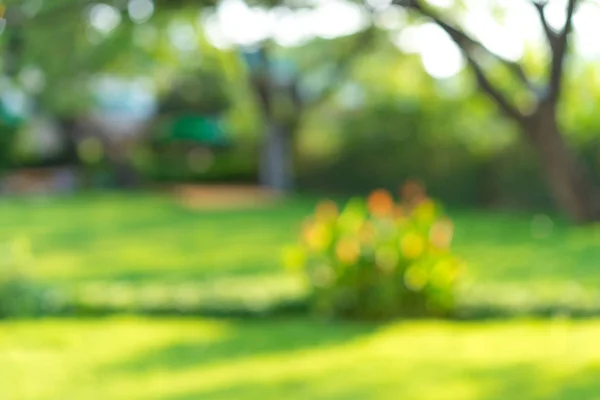 taze doğa yeşil bulanık ve bokeh arka plan.