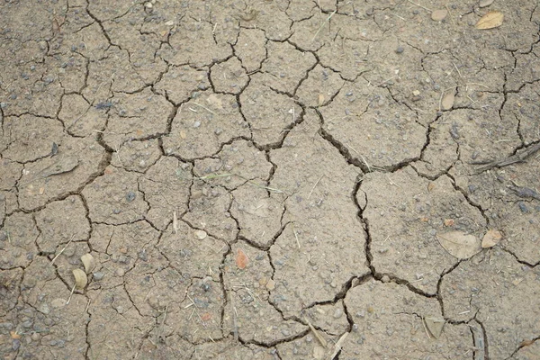 Top View Arid Soil Ground Dried Broken — Stock Photo, Image