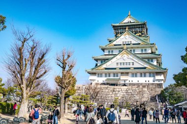 Osaka, Japonya - 4 Mar 2018: Japonca, turist, seyahat etmek kuru ağacın etrafında, Oaska, Japonya ile Mar 2018 yılında Osaka Kalesi yürüdü.