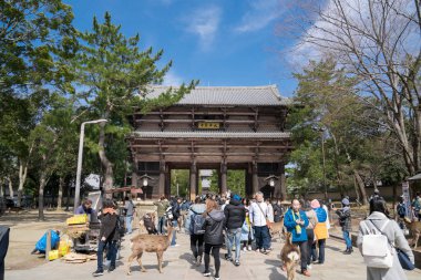 Nara, Japonya - 2 Mar 2018: kişi (Gezgin, Tur Grup, yöre halkı, Japon halkı) ziyaret ve öğleden sonra Nara ili, Todaiji tapınak seyahat Japonya.