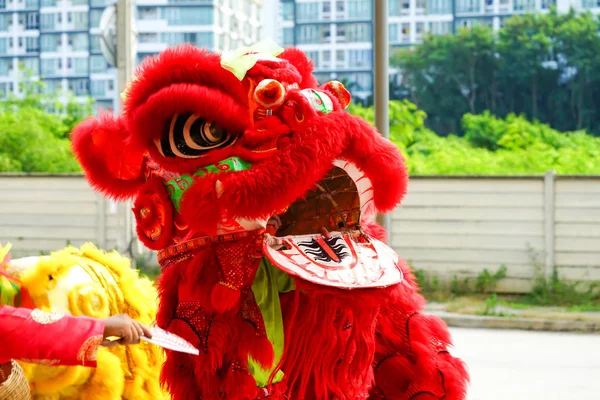 Manipulado Leão China Atividade Tradicional Asiática Para Celebração Tailândia — Fotografia de Stock