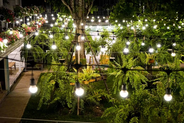 Tungsten Light Line Decorated Container Garden Night — Stock Photo, Image