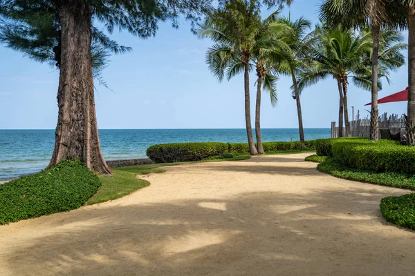Der Private Hoteleigene Sandgarten Mit Kokospalmen Hua Hin Thailand Beach — Stockfoto