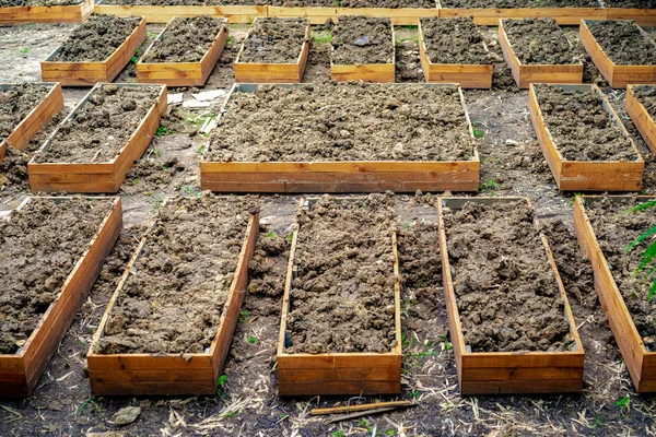Suelo Maceta Rectángulo Prepara Para Plantación Hortalizas Cosecha Propia Jardín — Foto de Stock