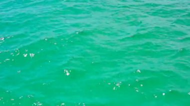 Öğleden sonra deniz yüzeyinde basit ve küçük Katı Yeşil dalga kapatın.