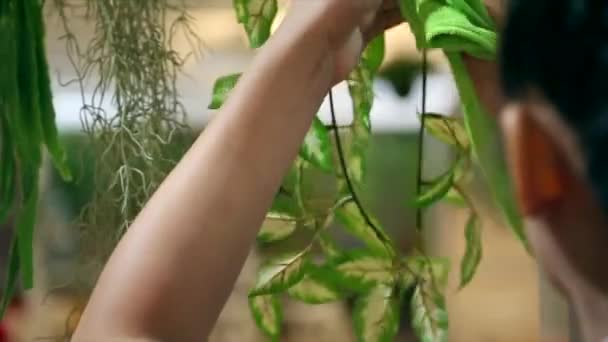 Grande Cameriera Negozio Pulisce Decorazione Foglia Artificiale Vite — Video Stock