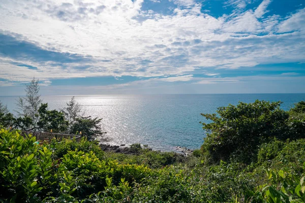 Ağaç, deniz manzarası ve yatay çizgi önünde ön planda 