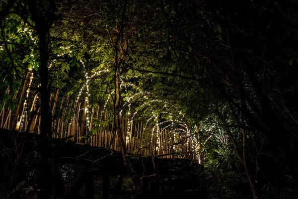 Линия освещения держится на дереве декора на Cave концепции на th — стоковое фото